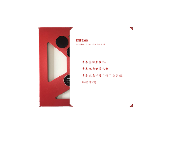 隐形音箱DXCAV YP80.png